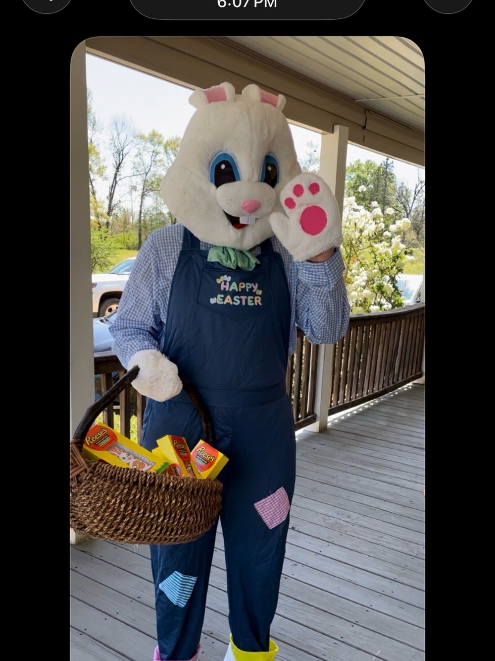 Morphe Navy Blue Easter Bunny Costume with White Head and Pink Accents